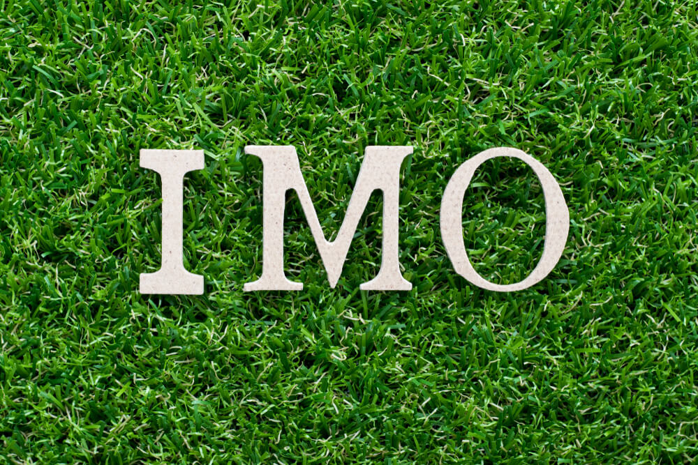 IMO 뜻은 내 생각에는 이러하다 이다