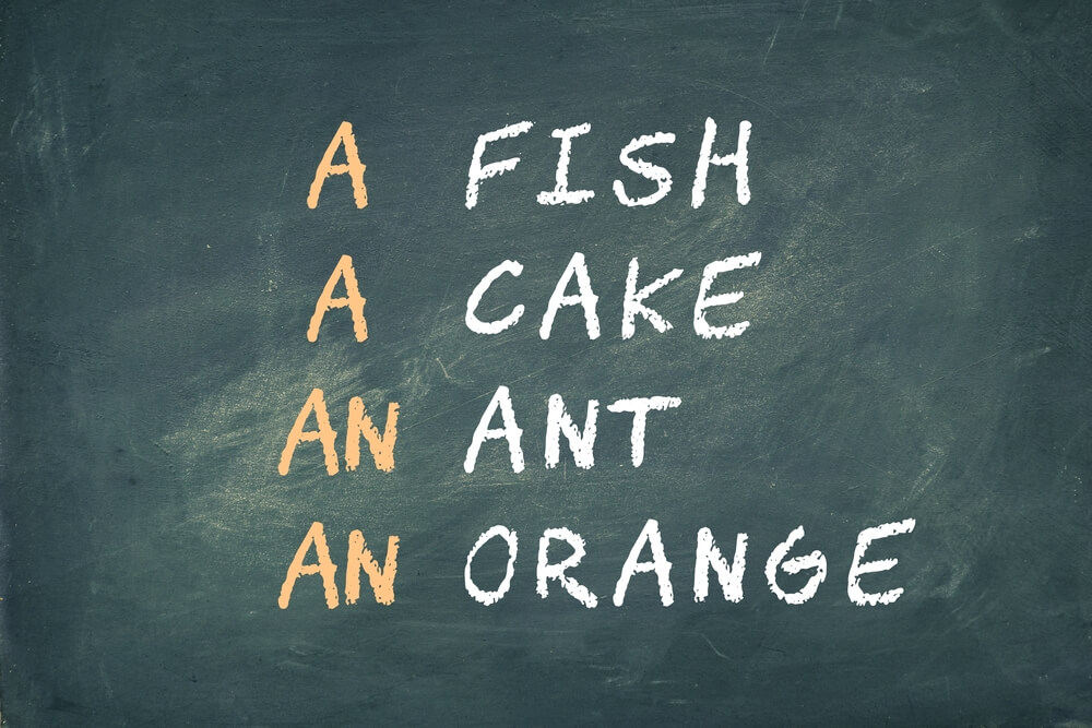 명사 앞에 붙는 관사가 나열되어 있다